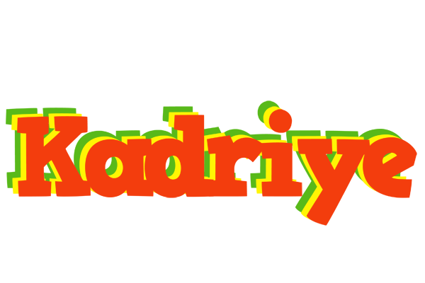 Kadriye bbq logo