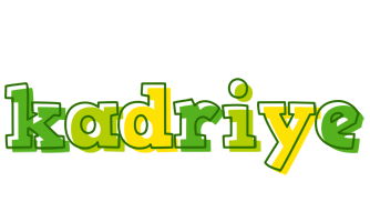 Kadriye juice logo