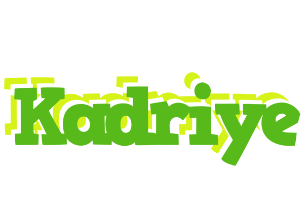 Kadriye picnic logo