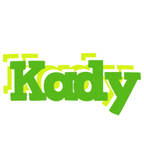 Kady picnic logo