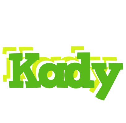 Kady picnic logo