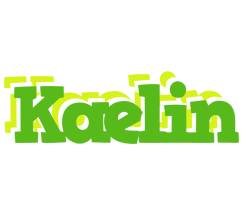 Kaelin picnic logo