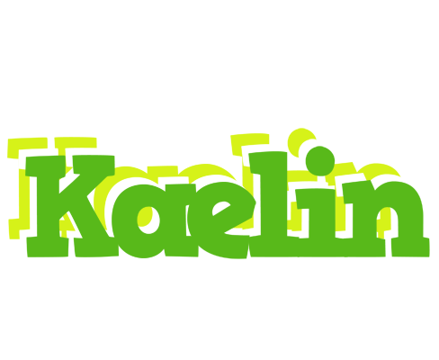 Kaelin picnic logo