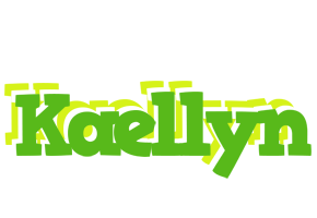 Kaellyn picnic logo