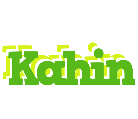 Kahin picnic logo