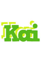 Kai picnic logo