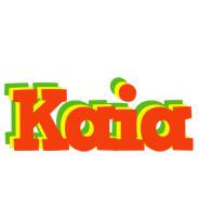 Kaia bbq logo