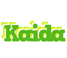 Kaida picnic logo