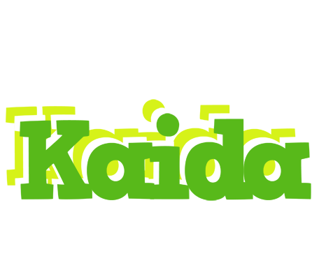 Kaida picnic logo