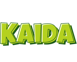 Kaida summer logo