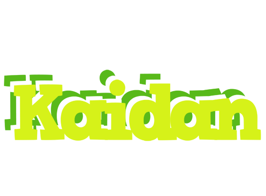 Kaidan citrus logo