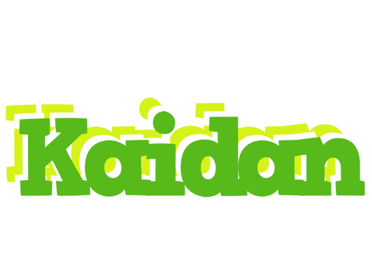 Kaidan picnic logo