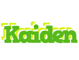 Kaiden picnic logo