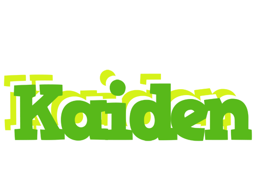 Kaiden picnic logo