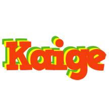 Kaige bbq logo