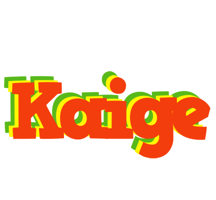Kaige bbq logo