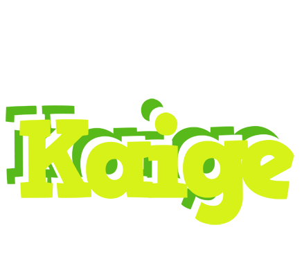 Kaige citrus logo