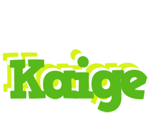 Kaige picnic logo