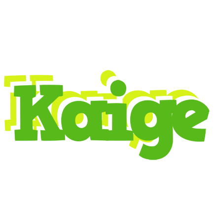 Kaige picnic logo