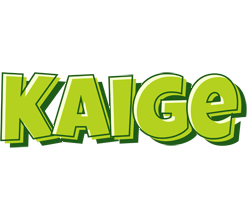 Kaige summer logo