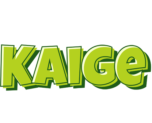 Kaige summer logo