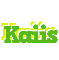 Kaiis picnic logo