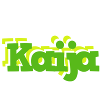 Kaija picnic logo