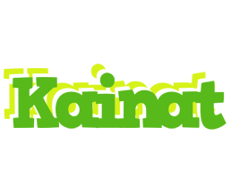 Kainat picnic logo