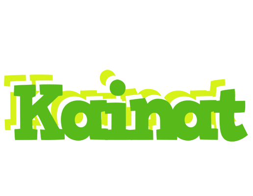 Kainat picnic logo