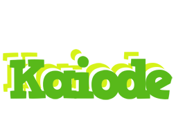 Kaiode picnic logo