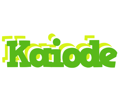 Kaiode picnic logo