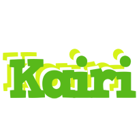 Kairi picnic logo