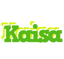 Kaisa picnic logo