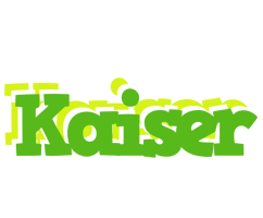 Kaiser picnic logo