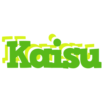 Kaisu picnic logo