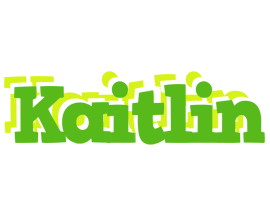 Kaitlin picnic logo