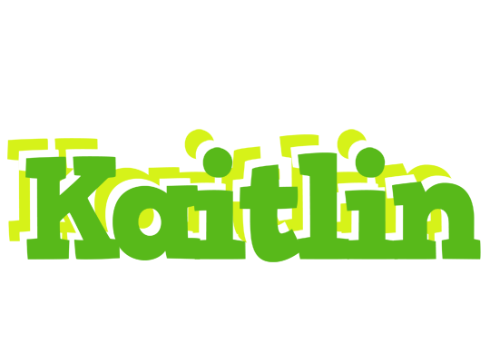 Kaitlin picnic logo