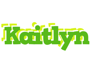 Kaitlyn picnic logo