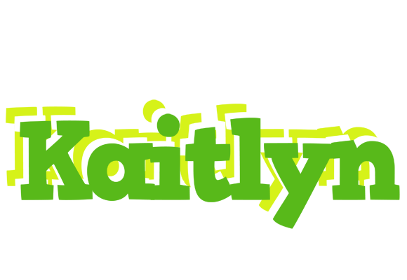 Kaitlyn picnic logo