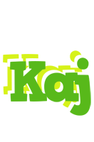 Kaj picnic logo