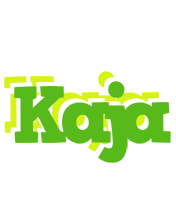 Kaja picnic logo