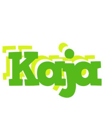 Kaja picnic logo