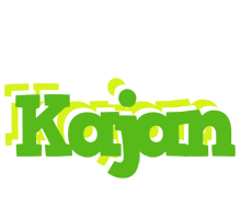 Kajan picnic logo