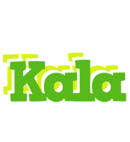 Kala picnic logo
