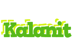 Kalanit picnic logo