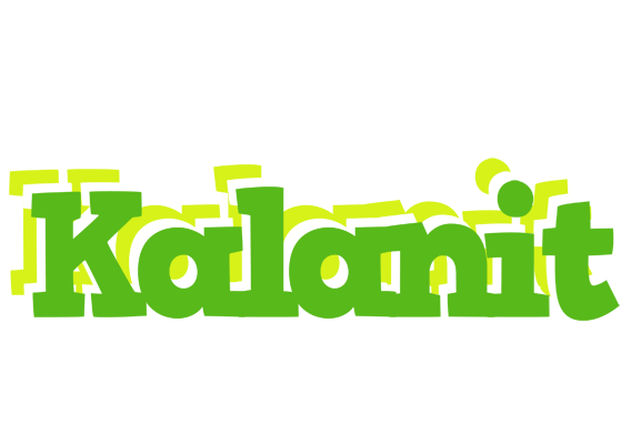 Kalanit picnic logo