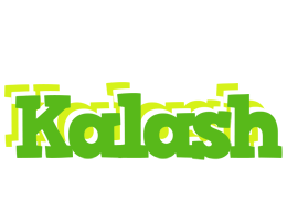 Kalash picnic logo