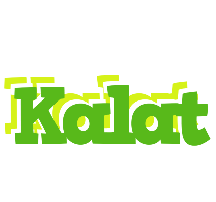 Kalat picnic logo