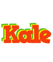 Kale bbq logo