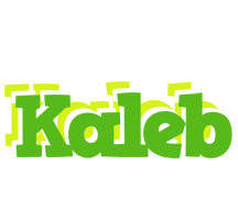 Kaleb picnic logo